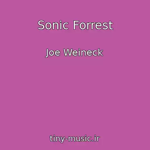 کاور آهنگ Sonic Forrest از Joe Weineck