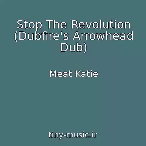 کاور آهنگ Stop The Revolution (Dubfire's Arrowhead Dub) از Meat Katie