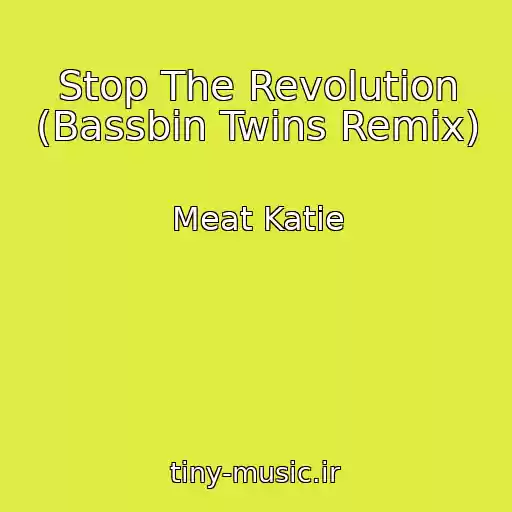کاور آهنگ Stop The Revolution (Bassbin Twins Remix) از Meat Katie