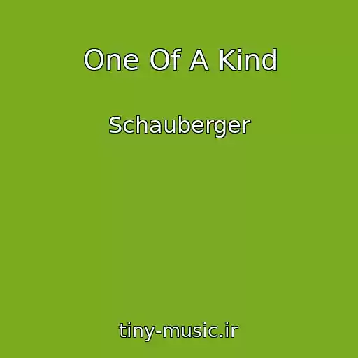 کاور آهنگ One Of A Kind از Schauberger