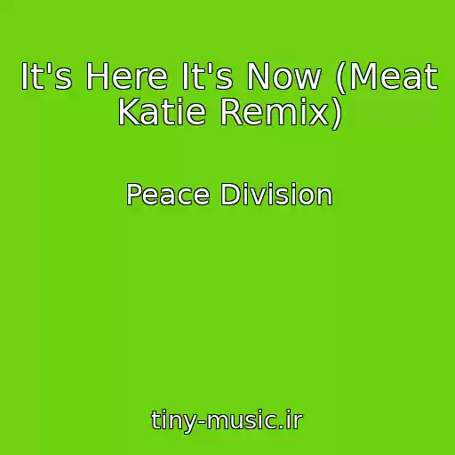 کاور آهنگ It's Here It's Now (Meat Katie Remix) از Peace Division