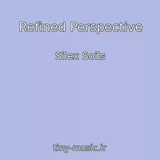 کاور آهنگ Refined Perspective از Silex Soils