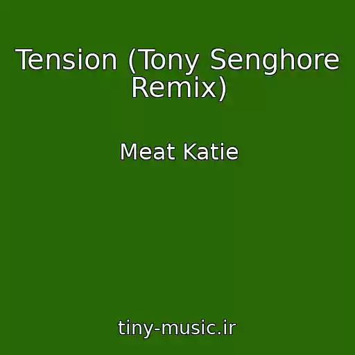 کاور آهنگ Tension (Tony Senghore Remix) از Meat Katie