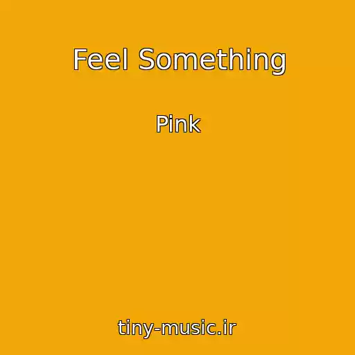کاور آهنگ Feel Something از Pink