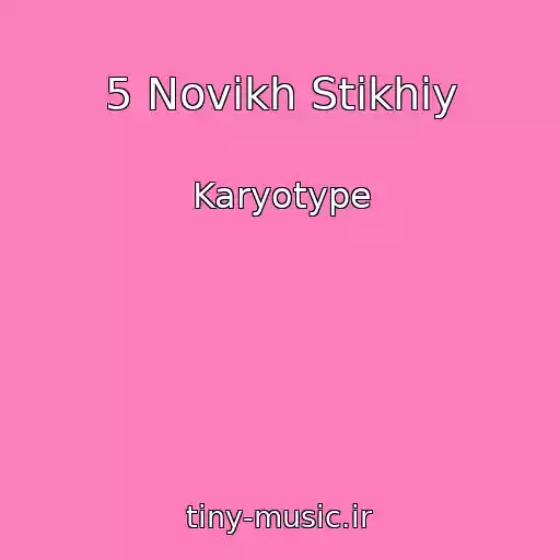 کاور آهنگ 5 Novikh Stikhіy از Karyotype