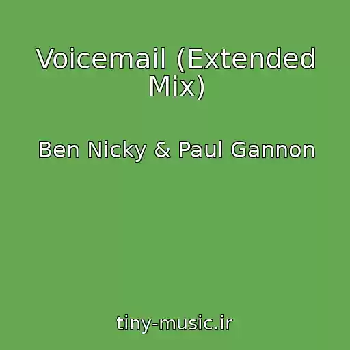 کاور آهنگ Voicemail (Extended Mix) از Ben Nicky & Paul Gannon