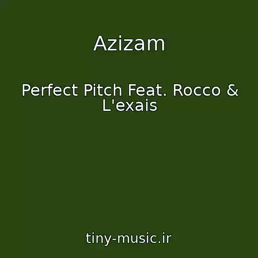 کاور آهنگ Azizam از Perfect Pitch Feat. Rocco & L'exais