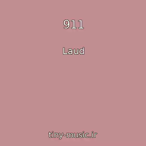 کاور آهنگ 911 از Laud
