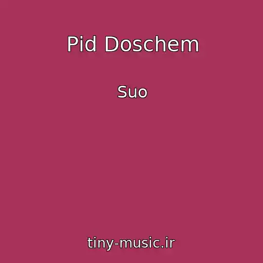 کاور آهنگ Pіd Doschem از Suo