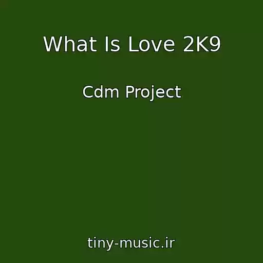 کاور آهنگ What Is Love 2K9 از Cdm Project