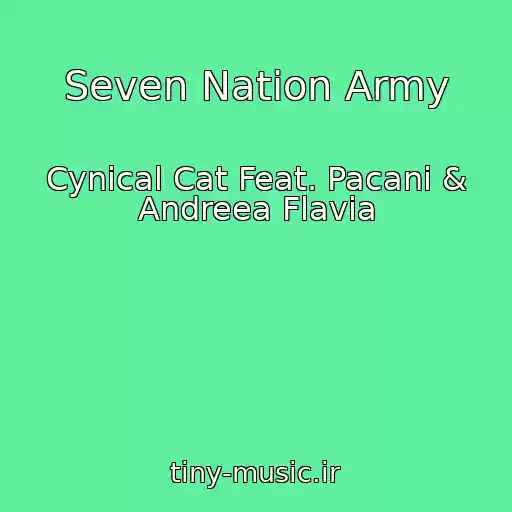 کاور آهنگ Seven Nation Army از Cynical Cat Feat. Pacani & Andreea Flavia