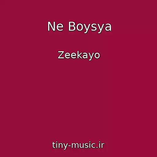 کاور آهنگ Ne Boysya از Zeekayo