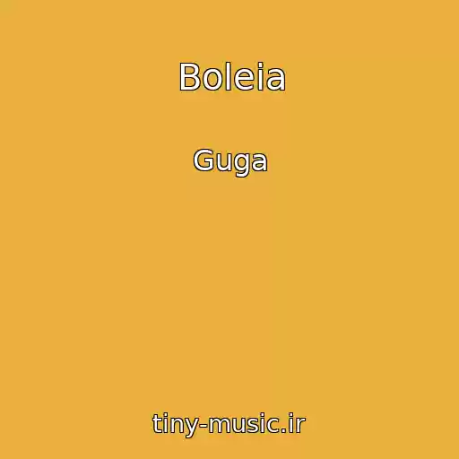 کاور آهنگ Boleia از Guga