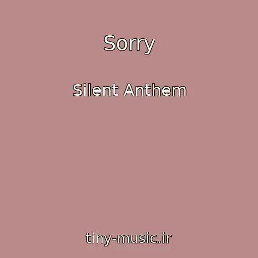 کاور آهنگ Sorry از Silent Anthem