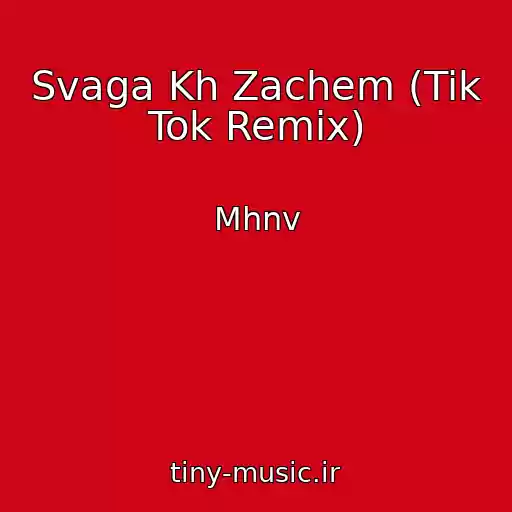 کاور آهنگ Svaga Kh Zachem (Tik Tok Remix) از Mhnv