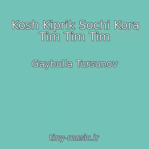 کاور آهنگ Kosh Kiprik Sochi Kora Tim Tim Tim از Gaybulla Tursunov