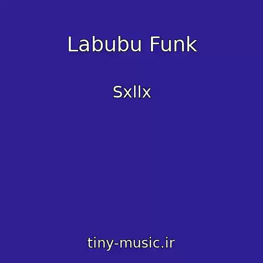 کاور آهنگ Labubu Funk از Sxllx