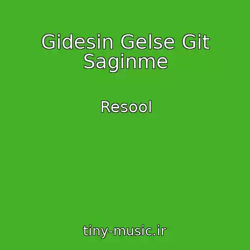 کاور آهنگ Gidesin Gelse Git Saginme از Resool