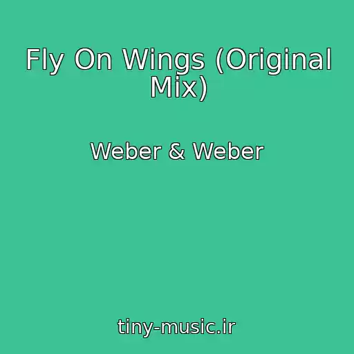 کاور آهنگ Fly On Wings (Original Mix) از Weber & Weber
