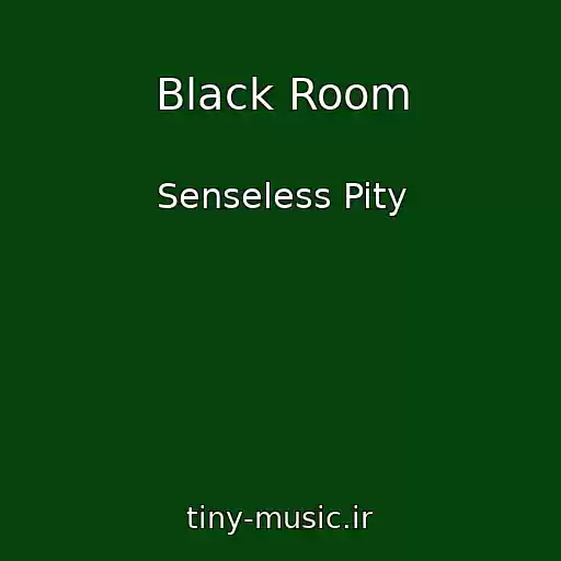 کاور آهنگ Black Room از Senseless Pity
