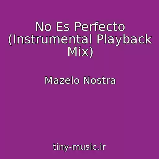 کاور آهنگ No Es Perfecto (Instrumental Playback Mix) از Mazelo Nostra