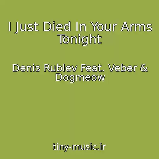 کاور آهنگ I Just Died In Your Arms Tonight از Denis Rublev Feat. Veber & Dogmeow