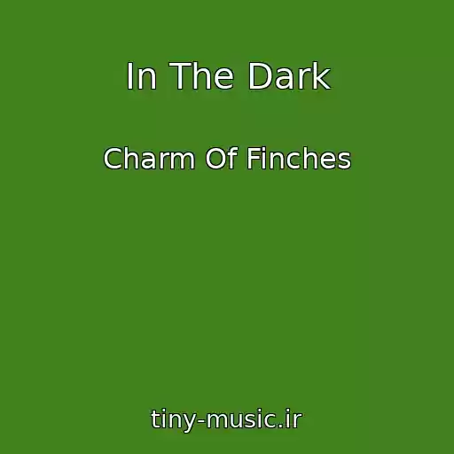کاور آهنگ In The Dark از Charm Of Finches