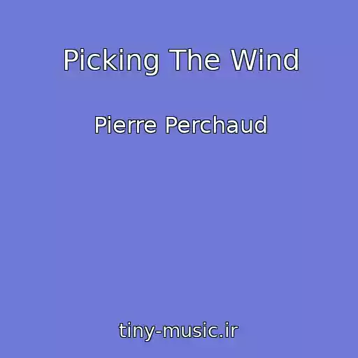 کاور آهنگ Picking The Wind از Pierre Perchaud