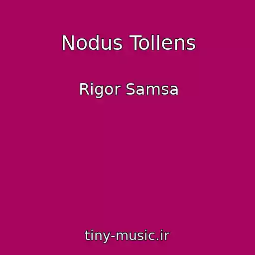 کاور آهنگ Nodus Tollens از Rigor Samsa