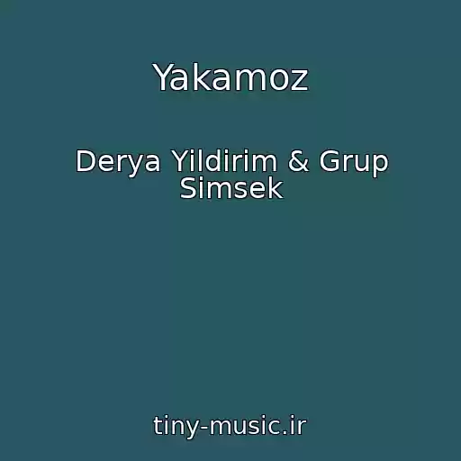 کاور آهنگ Yakamoz از Derya Yildirim & Grup Simsek