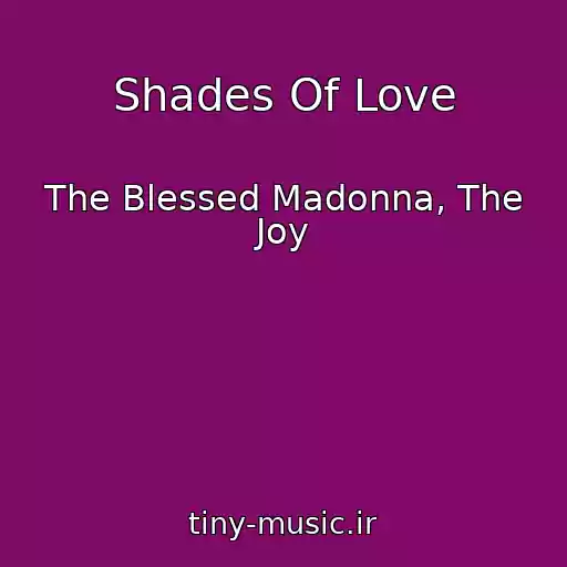 کاور آهنگ Shades Of Love از The Blessed Madonna, The Joy