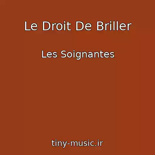 کاور آهنگ Le Droit De Briller از Les Soignantes