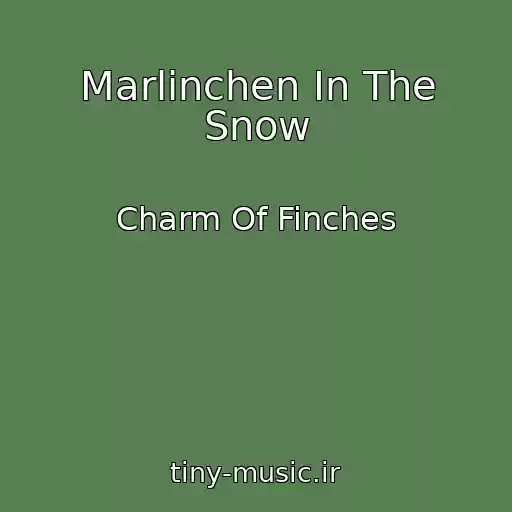کاور آهنگ Marlinchen In The Snow از Charm Of Finches