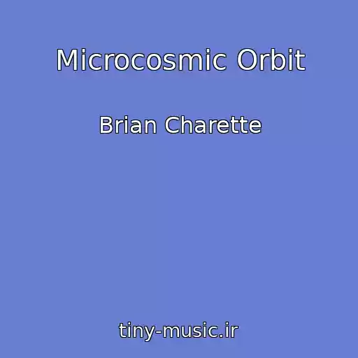 کاور آهنگ Microcosmic Orbit از Brian Charette