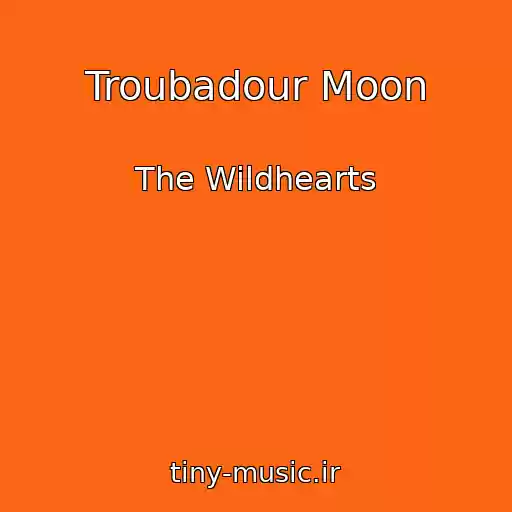 کاور آهنگ Troubadour Moon از The Wildhearts