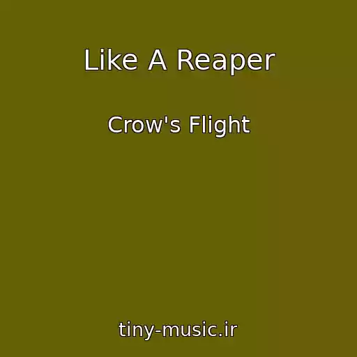 کاور آهنگ Like A Reaper از Crow's Flight