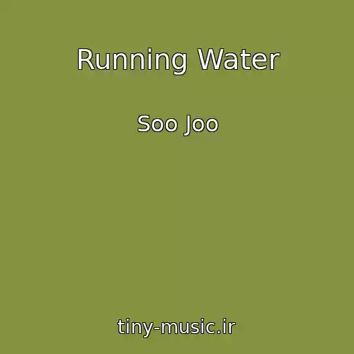 کاور آهنگ Running Water از Soo Joo
