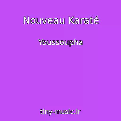 کاور آهنگ Nouveau Karaté از Youssoupha