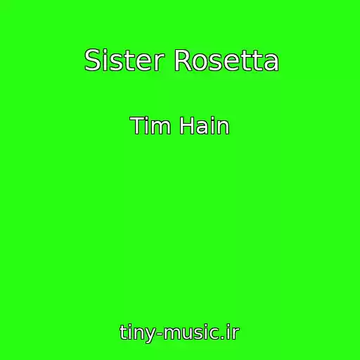 کاور آهنگ Sister Rosetta از Tim Hain