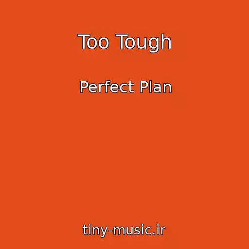 کاور آهنگ Too Tough از Perfect Plan