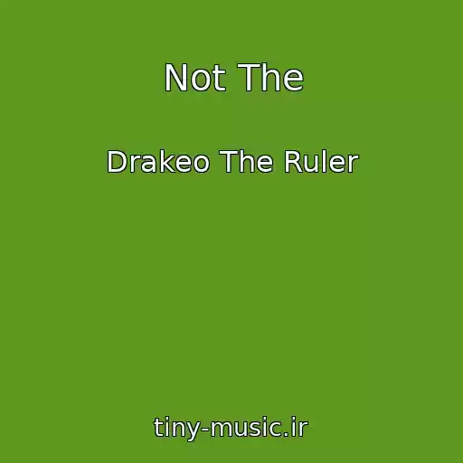 کاور آهنگ Not The از Drakeo The Ruler