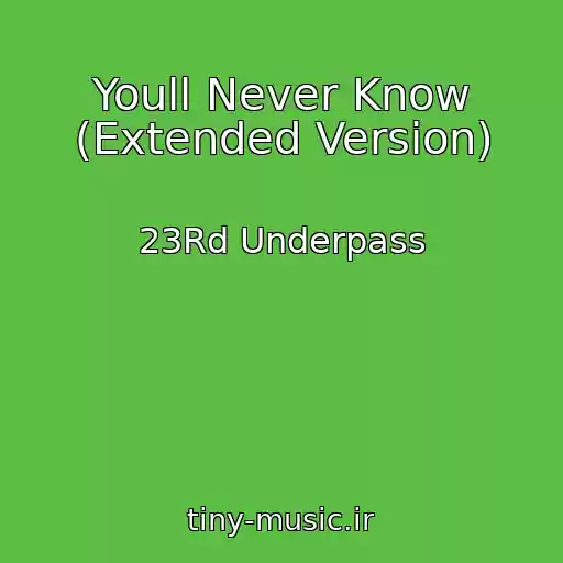 کاور آهنگ Youll Never Know (Extended Version) از 23Rd Underpass