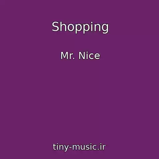 کاور آهنگ Shopping از Mr. Nice