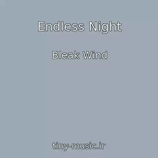 کاور آهنگ Endless Night از Bleak Wind