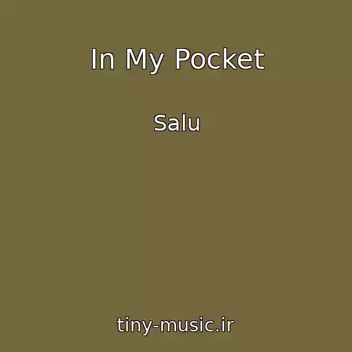 کاور آهنگ In My Pocket از Salu