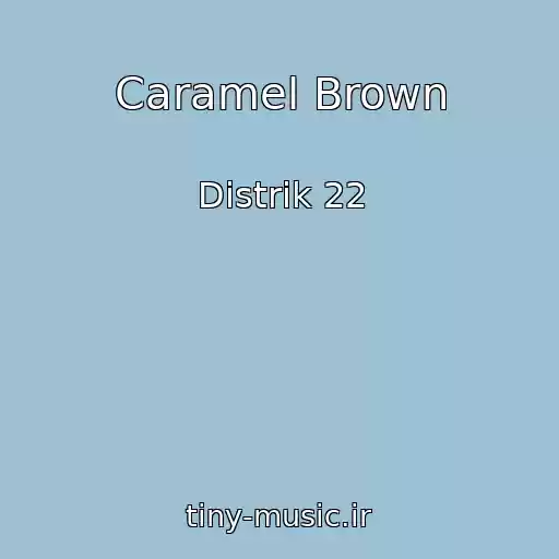 کاور آهنگ Caramel Brown از Distrik 22