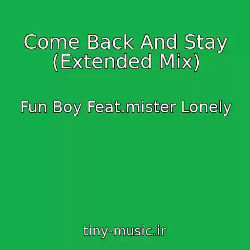 کاور آهنگ Come Back And Stay (Extended Mix) از Fun Boy Feat.mister Lonely