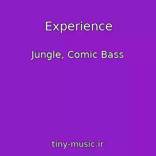 کاور آهنگ Experience از Jungle, Comic Bass