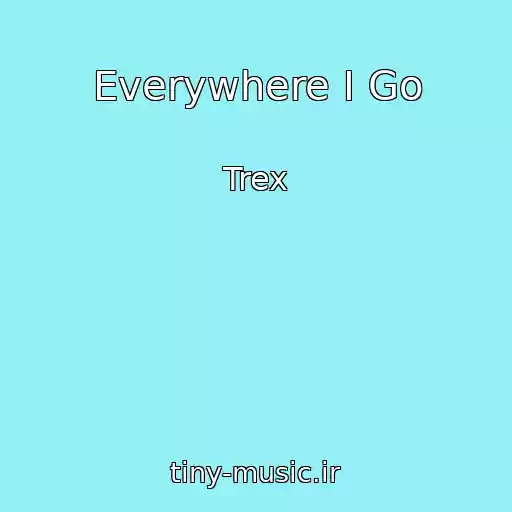 کاور آهنگ Everywhere I Go از Trex
