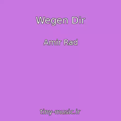 کاور آهنگ Wegen Dir از Amir Rad